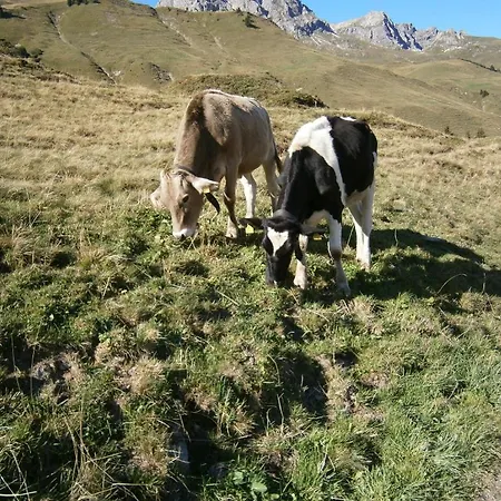 Affittacamere Bergmahder 3*