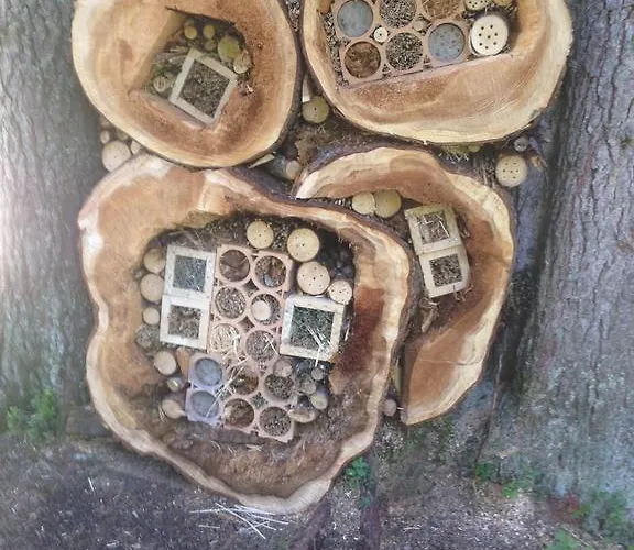 Guest house Bergmahder