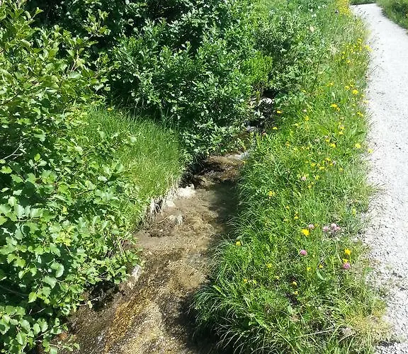 Guest house Bergmahder Lech am Arlberg