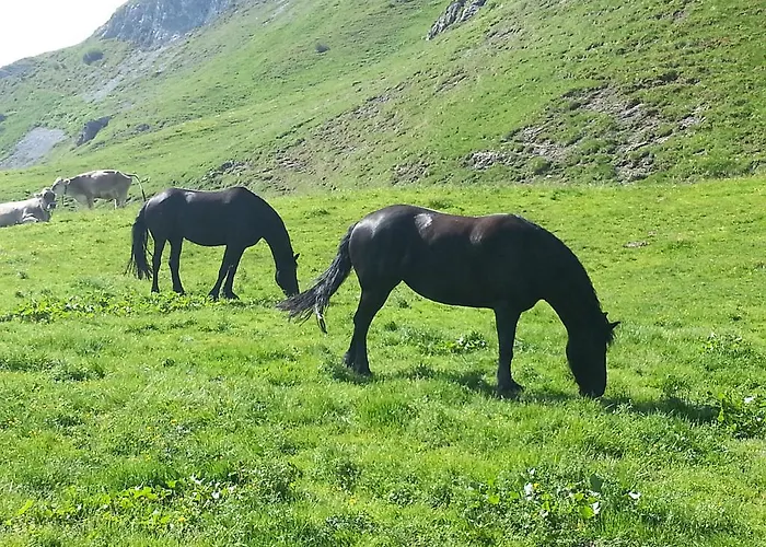 Guest house Bergmahder Lech am Arlberg