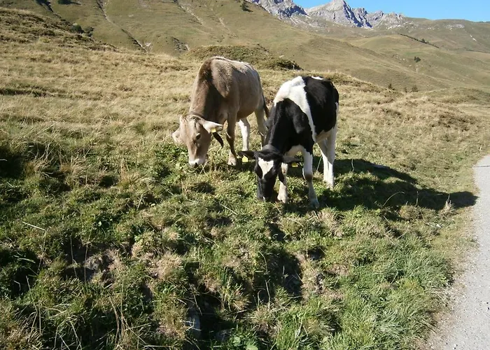 Guest house Bergmahder 3*